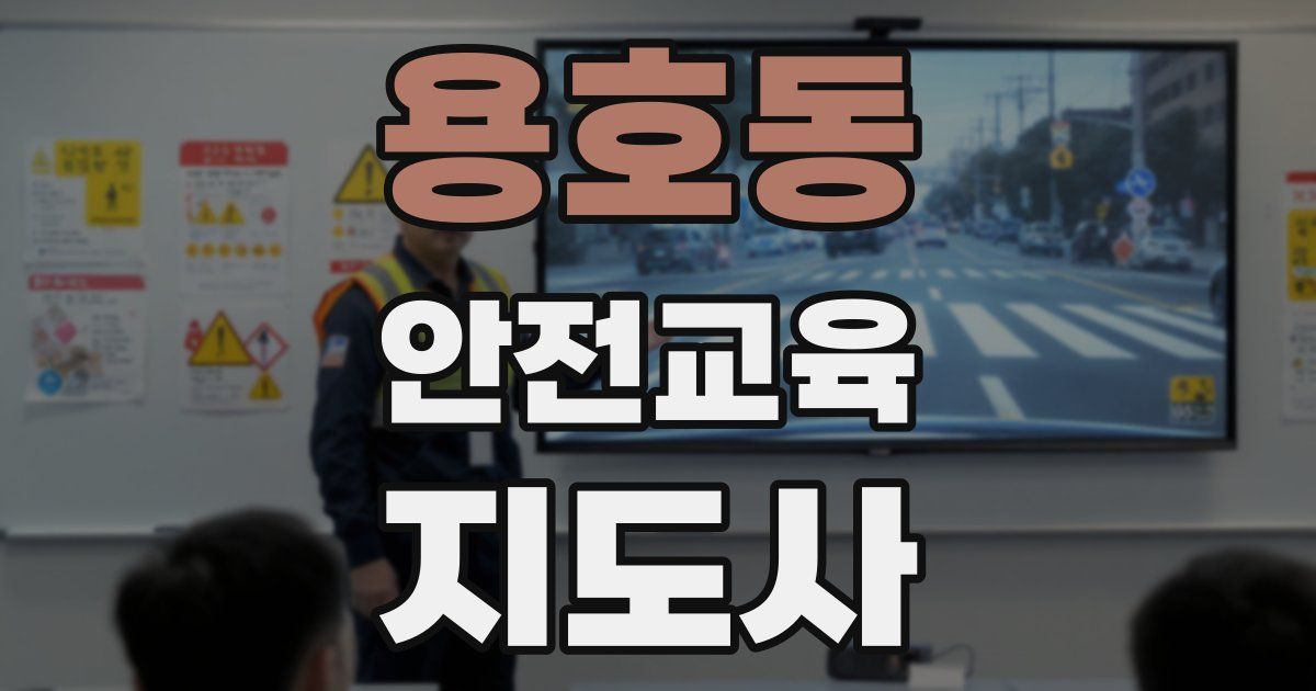 용호동 안전교육지도사 자격증