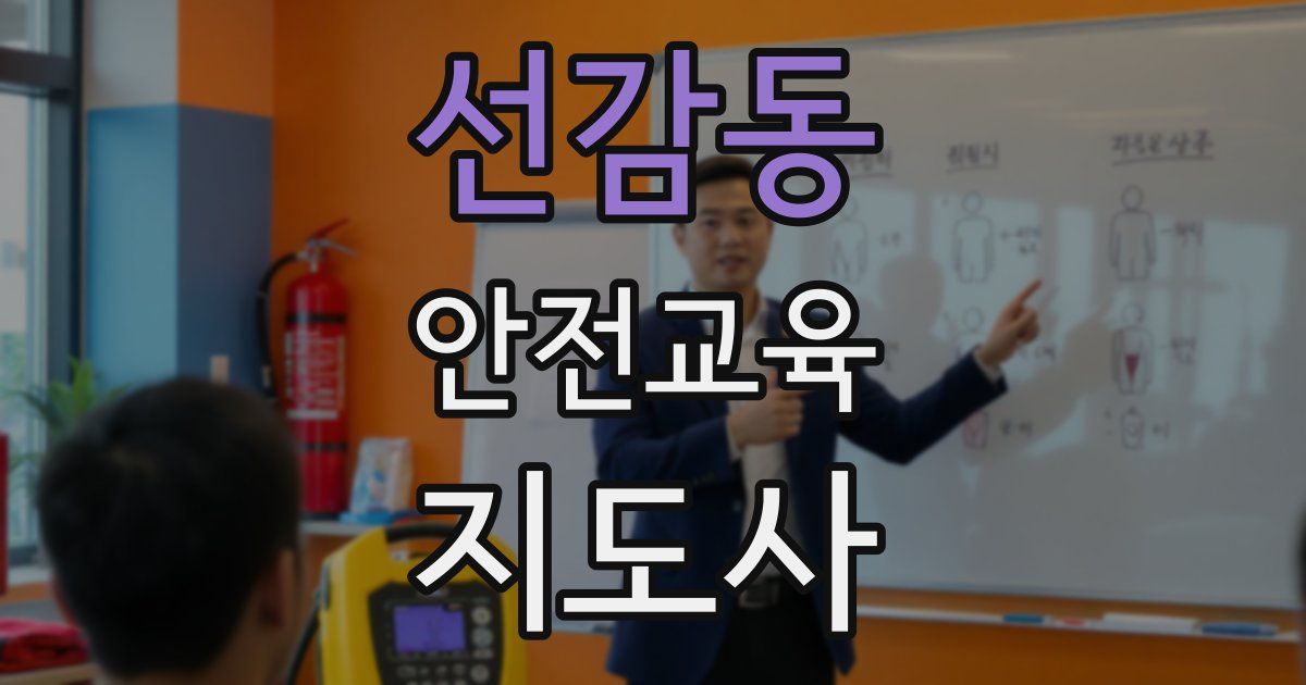 선감동 안전교육지도사 자격증