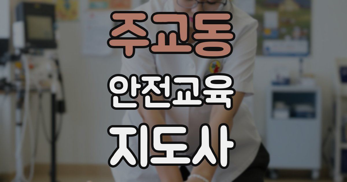 주교동 안전교육지도사 자격증