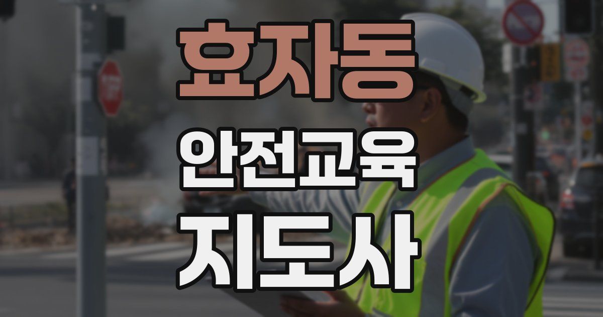효자동 안전교육지도사 자격증
