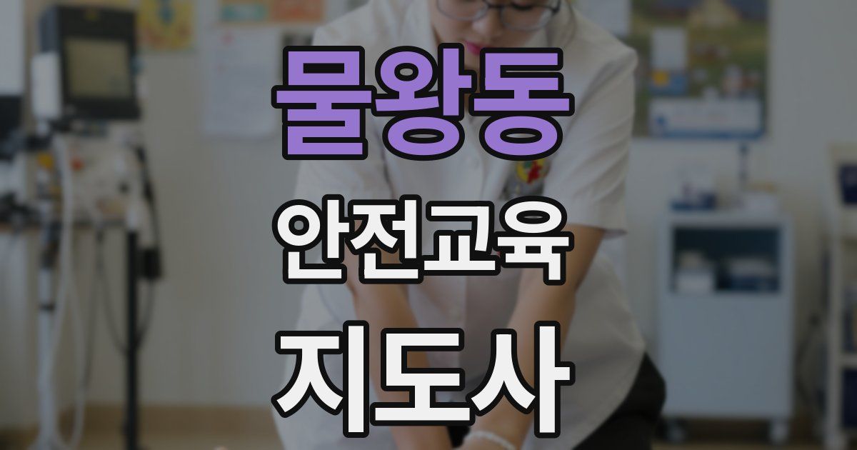 물왕동 안전교육지도사 자격증