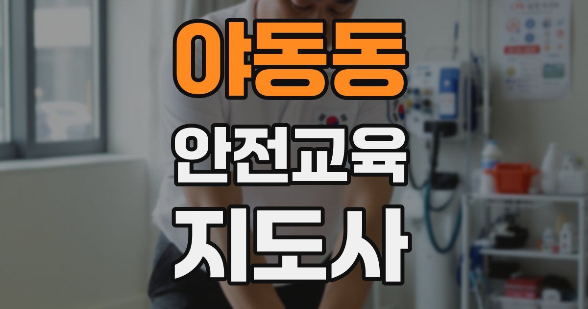 야동동 안전교육지도사 자격증