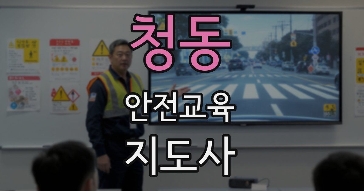 청동 안전교육지도사 자격증