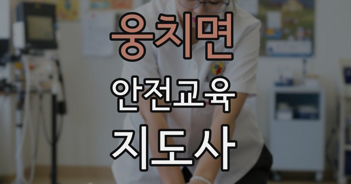 웅치면 안전교육지도사 자격증