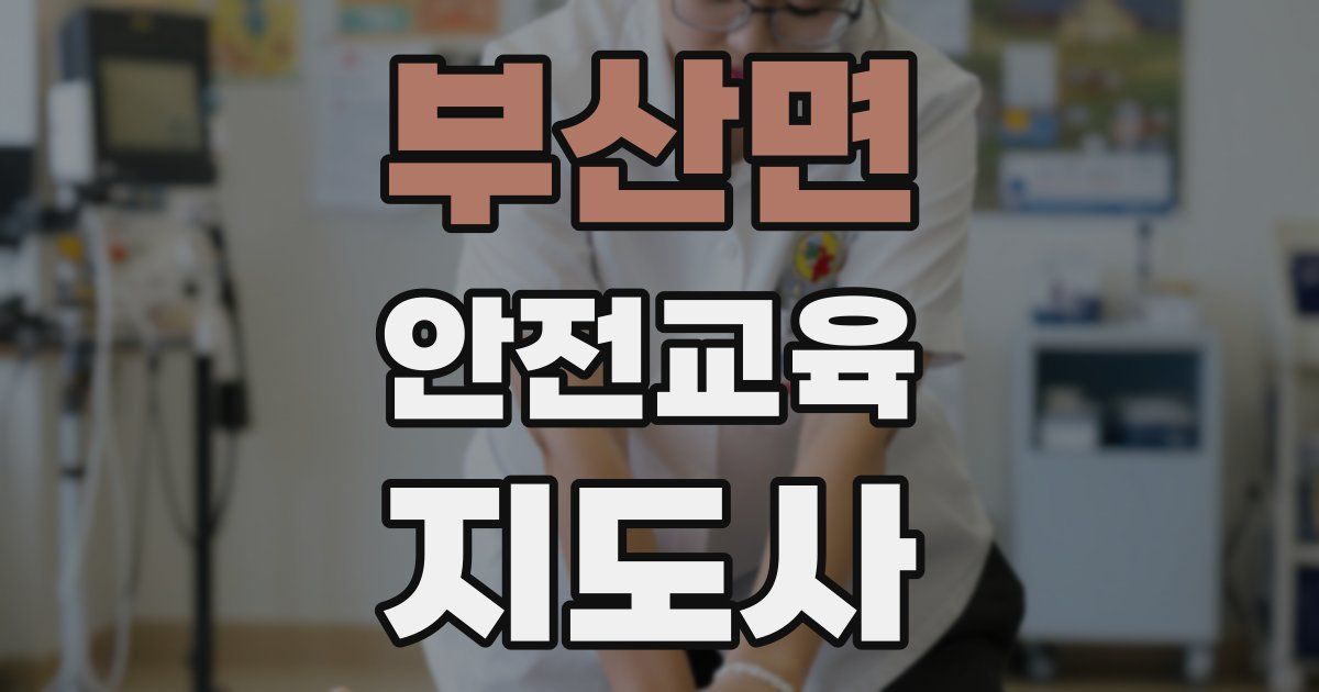 부산면 안전교육지도사 자격증
