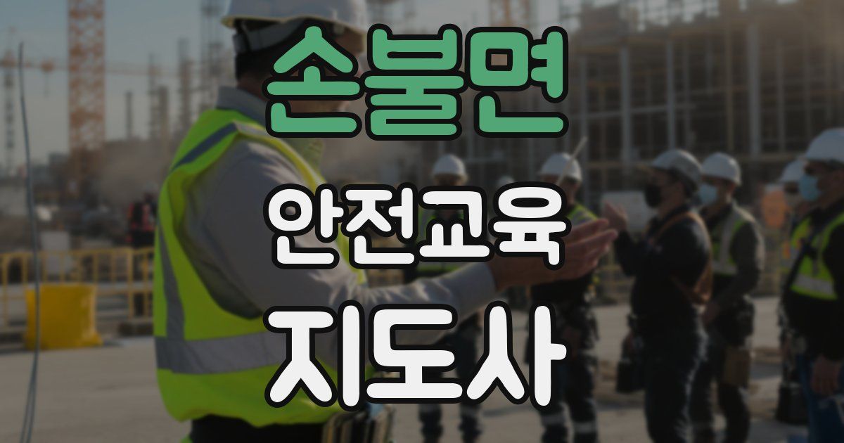 손불면 안전교육지도사 자격증