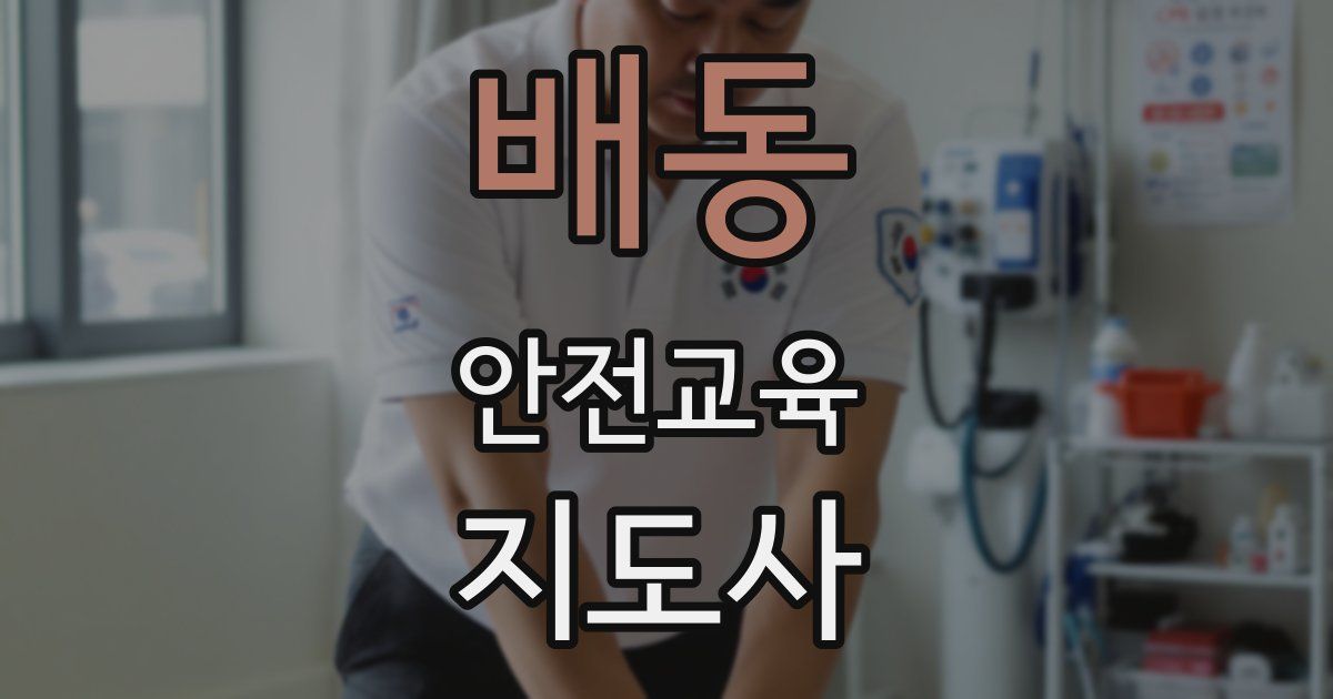 배동 안전교육지도사 자격증