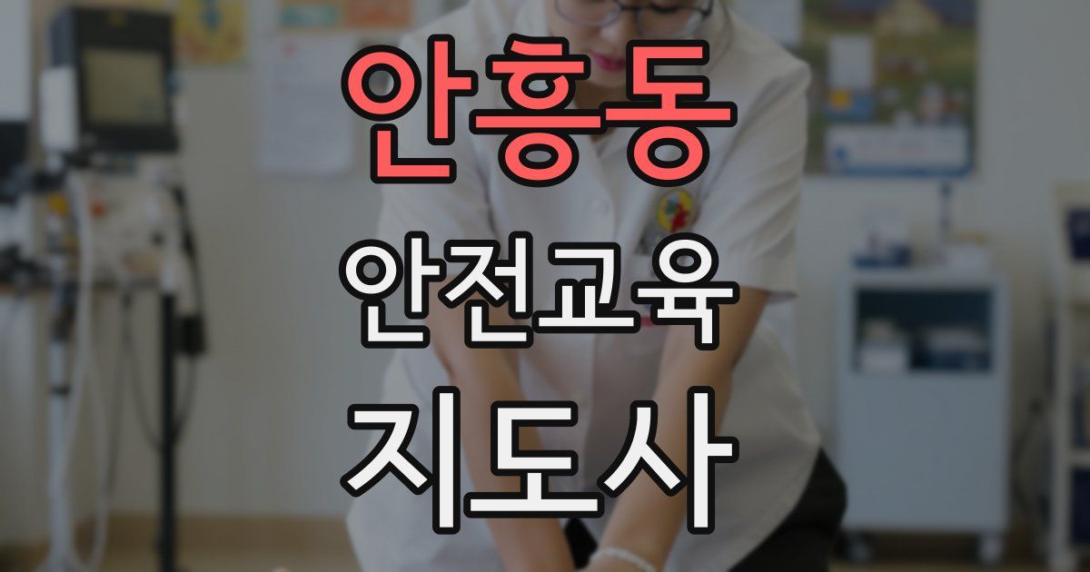 안흥동 안전교육지도사 자격증