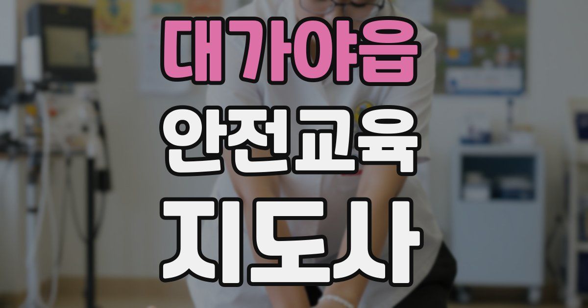 대가야읍 안전교육지도사 자격증