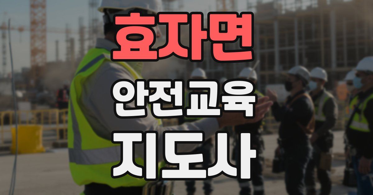 효자면 안전교육지도사 자격증