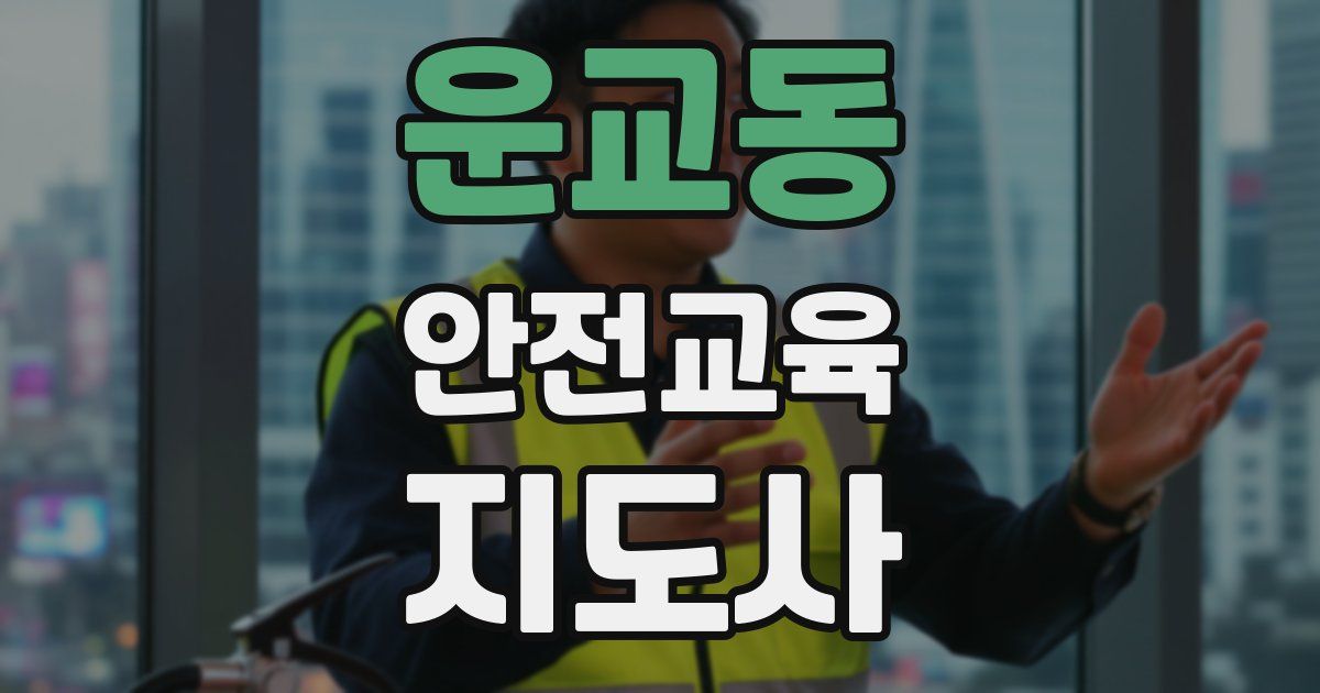 운교동 안전교육지도사 자격증