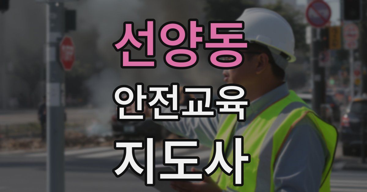 선양동 안전교육지도사 자격증