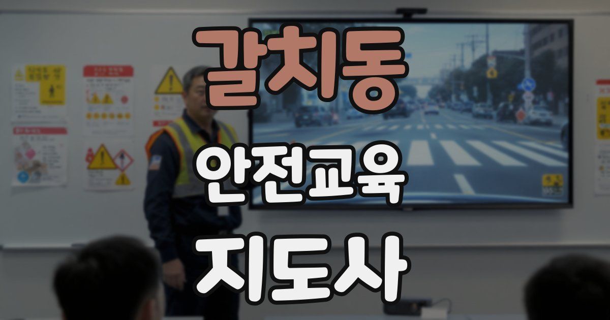 갈치동 안전교육지도사 자격증