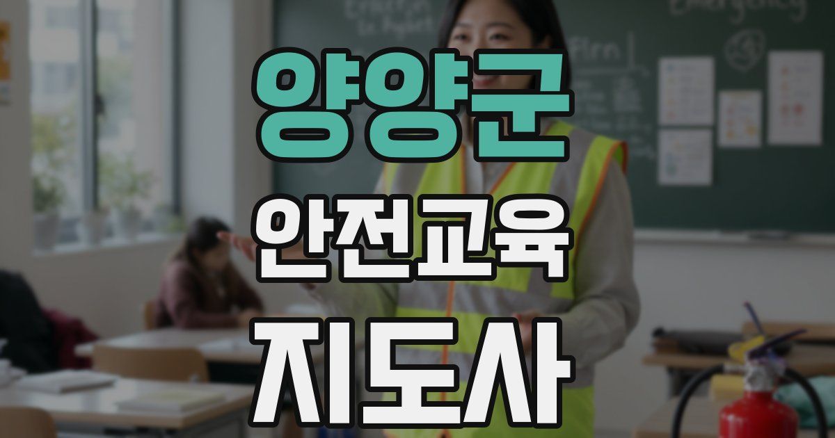 양양군 안전교육지도사 자격증