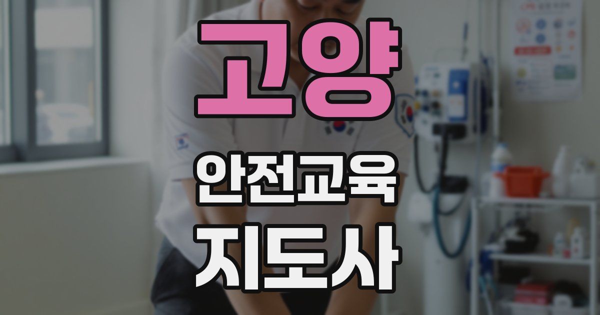 고양 안전교육지도사 자격증