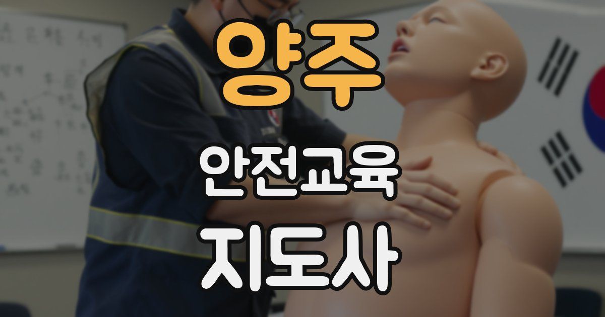 양주 안전교육지도사 자격증