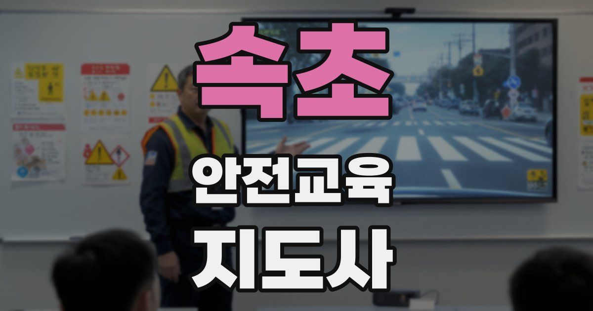 속초 안전교육지도사 자격증