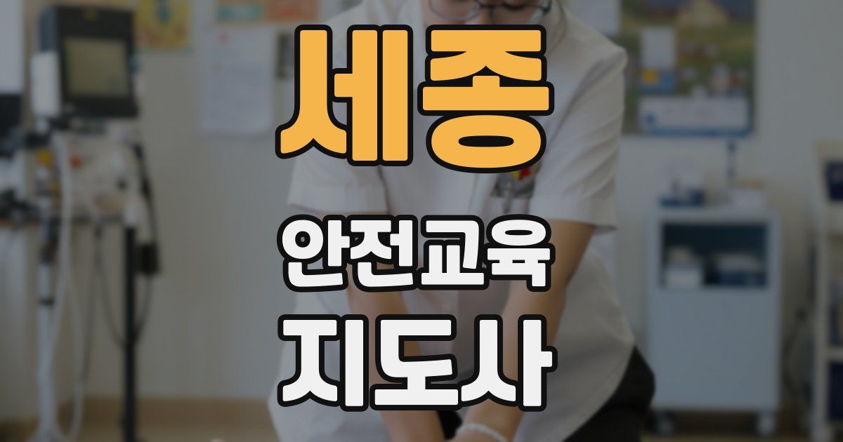세종 안전교육지도사 자격증