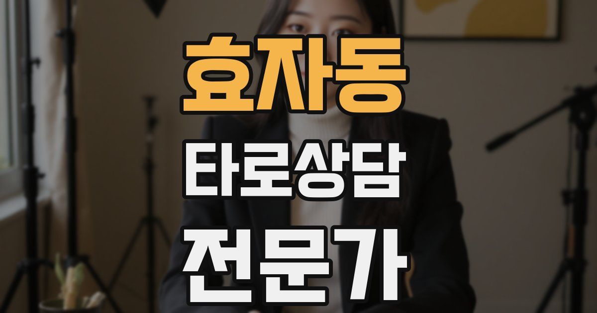 효자동 타로상담전문가 자격증