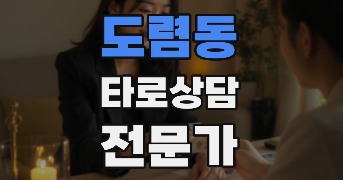 도렴동 타로상담전문가 자격증