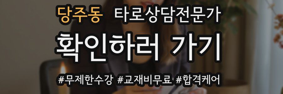 당주동 타로상담전문가 자격증