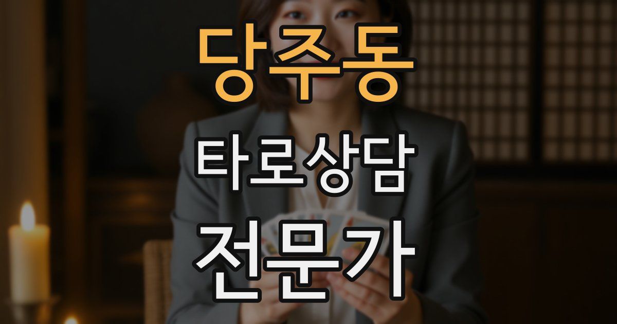 당주동 타로상담전문가 자격증