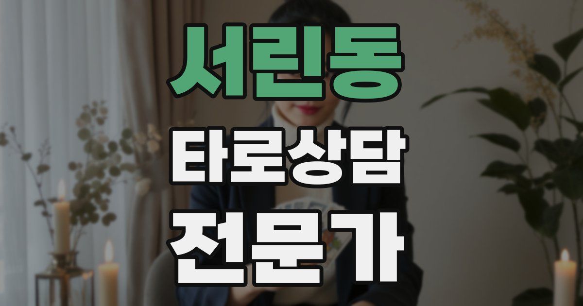 서린동 타로상담전문가 자격증