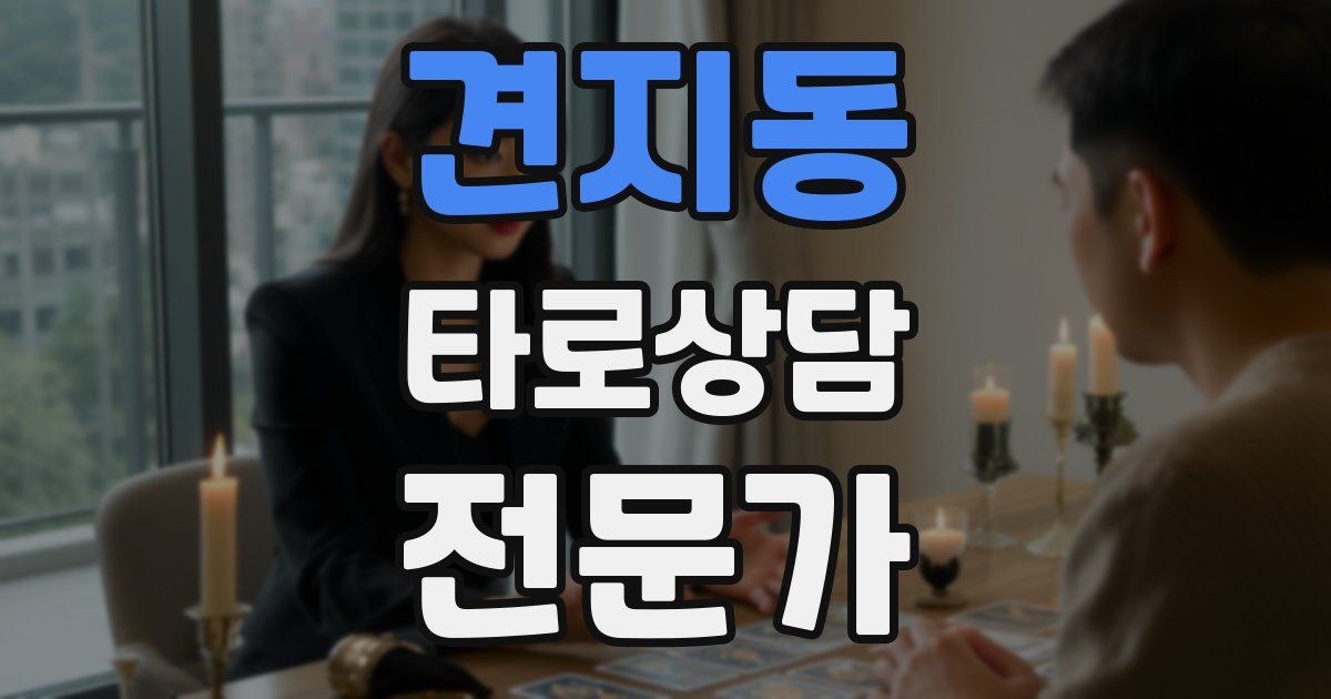 견지동 타로상담전문가 자격증