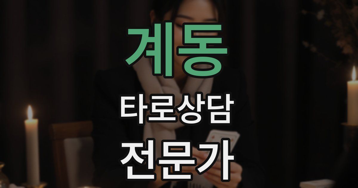 계동 타로상담전문가 자격증