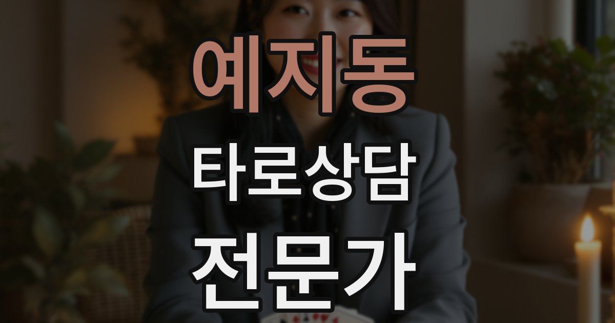 예지동 타로상담전문가 자격증
