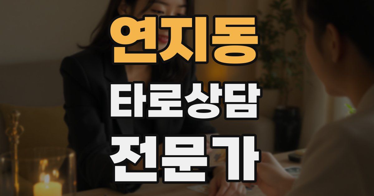연지동 타로상담전문가 자격증