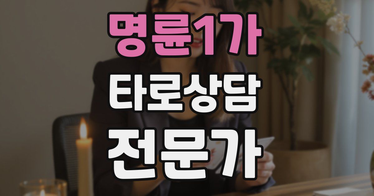 명륜1가 타로상담전문가 자격증