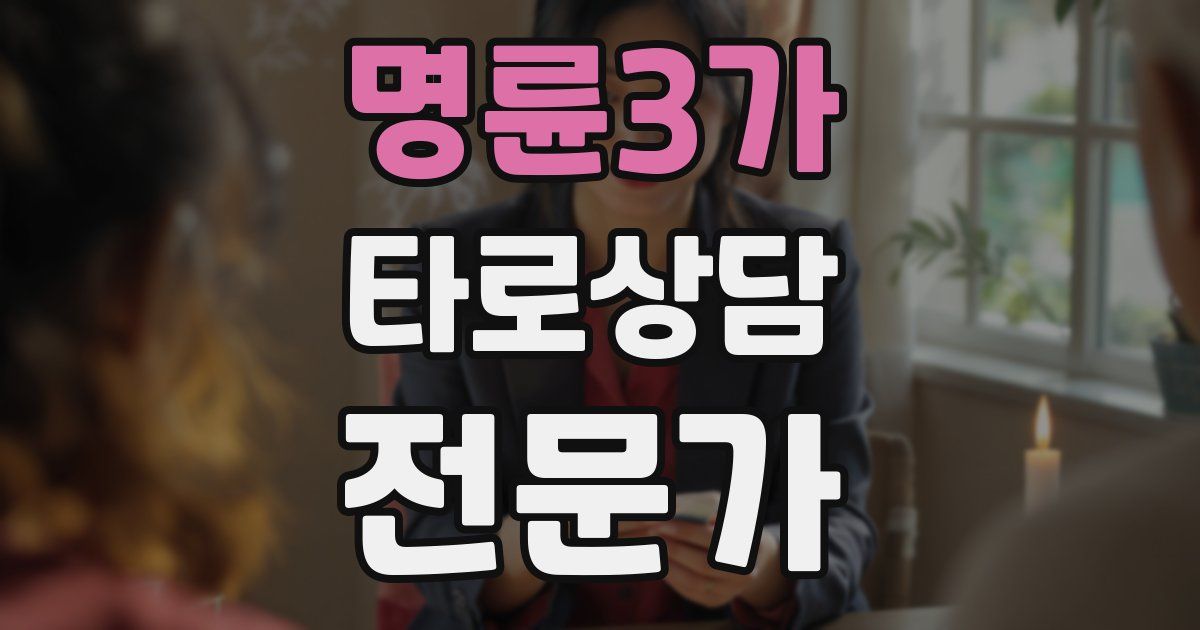 명륜3가 타로상담전문가 자격증