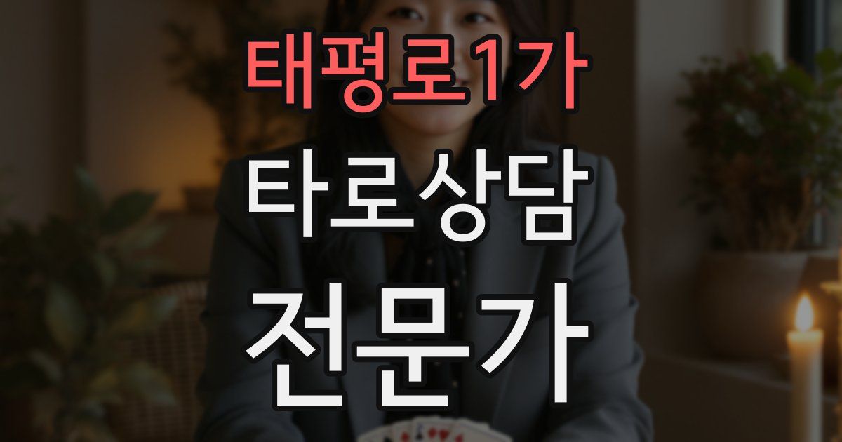 태평로1가 타로상담전문가 자격증
