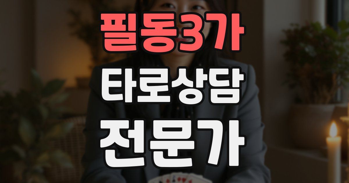 필동3가 타로상담전문가 자격증