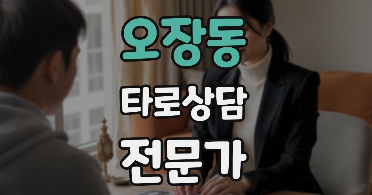 오장동 타로상담전문가 자격증
