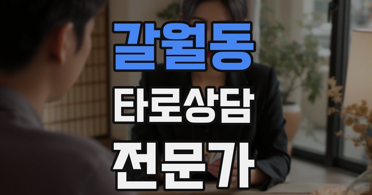 갈월동 타로상담전문가 자격증