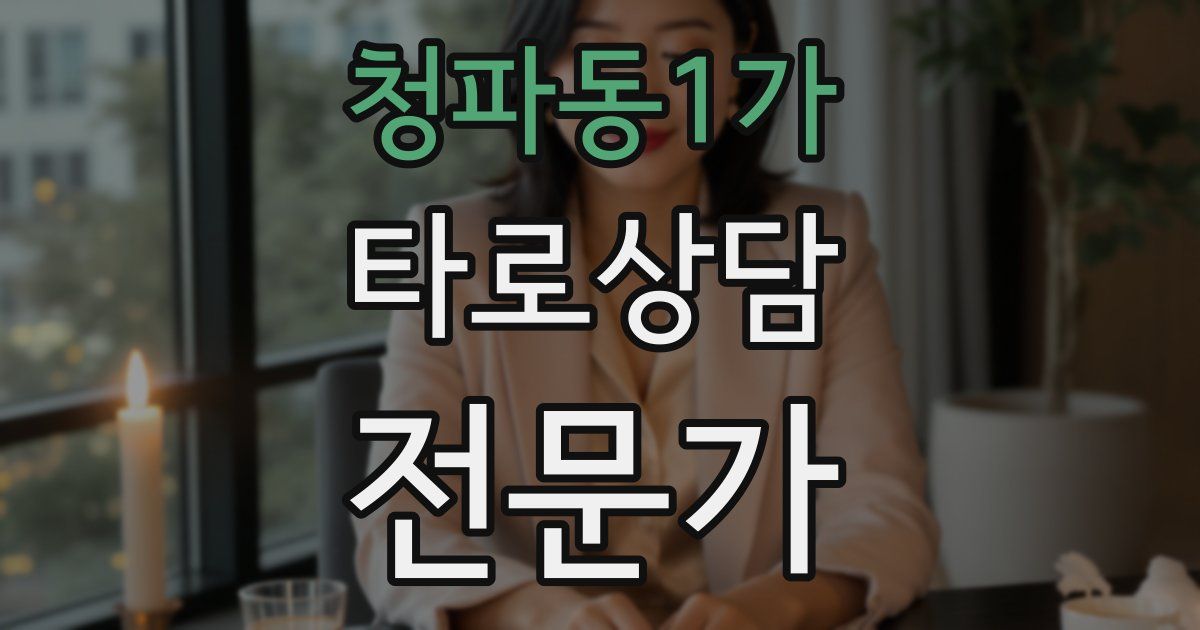 청파동1가 타로상담전문가 자격증