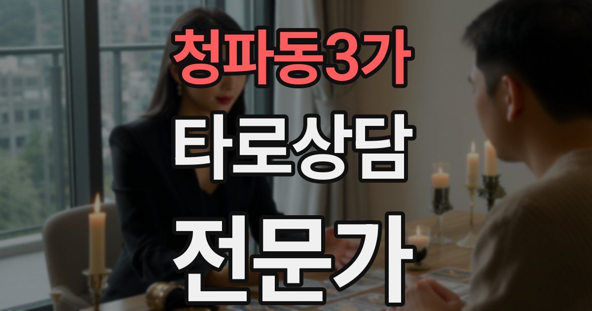 청파동3가 타로상담전문가 자격증