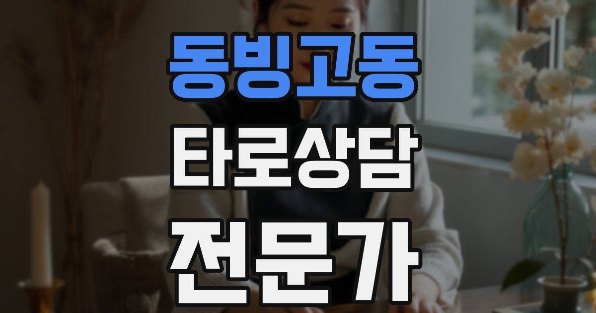 동빙고동 타로상담전문가 자격증