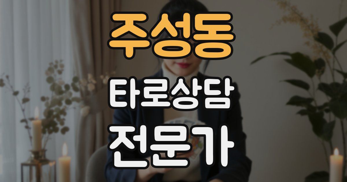 주성동 타로상담전문가 자격증