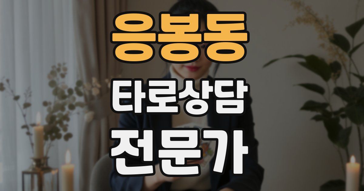 응봉동 타로상담전문가 자격증