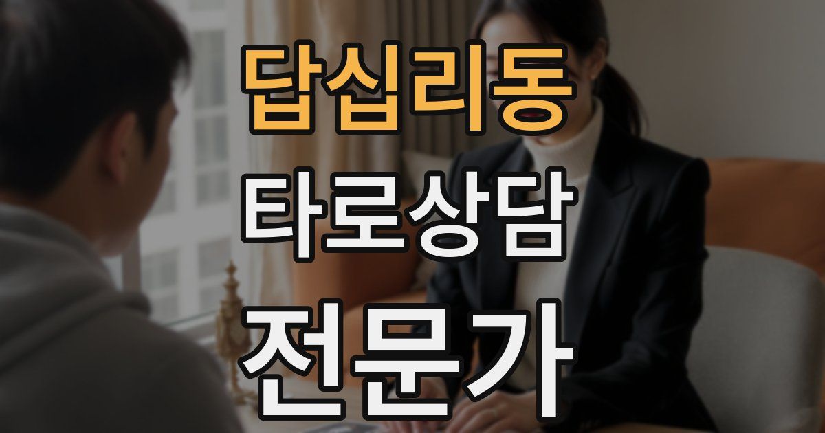 답십리동 타로상담전문가 자격증