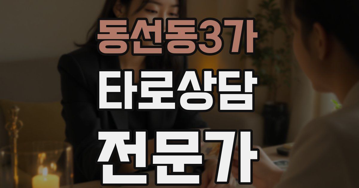 동선동3가 타로상담전문가 자격증