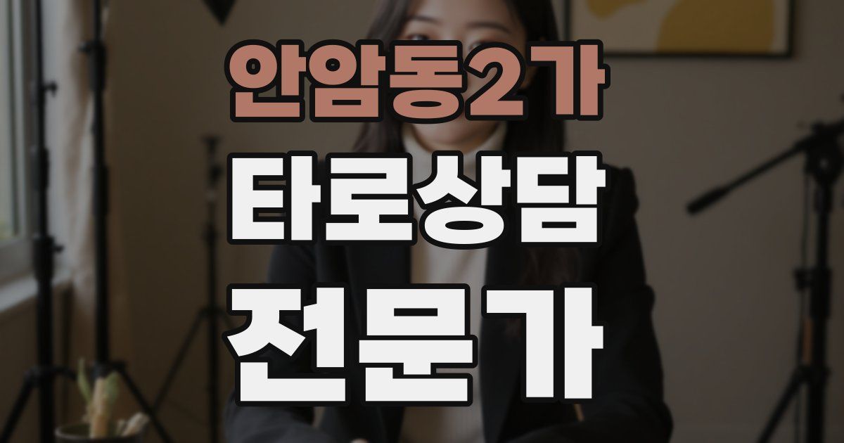 안암동2가 타로상담전문가 자격증