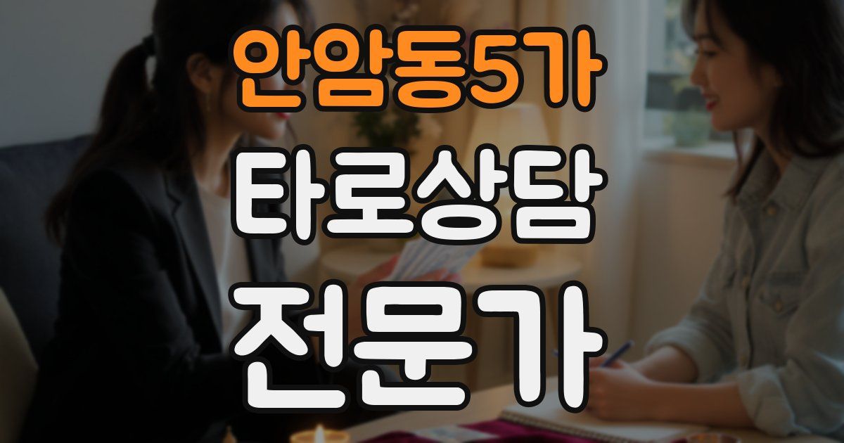 안암동5가 타로상담전문가 자격증