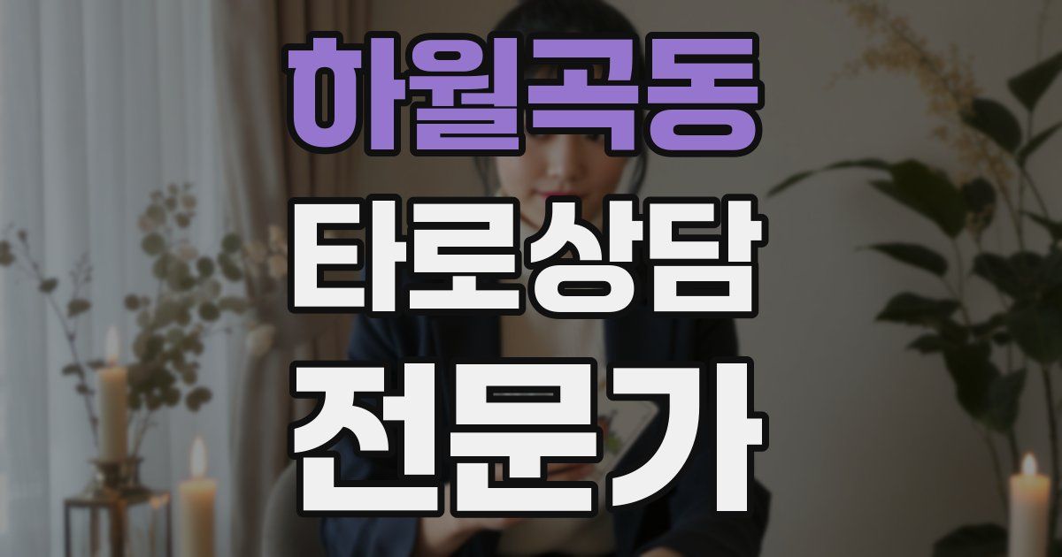 하월곡동 타로상담전문가 자격증