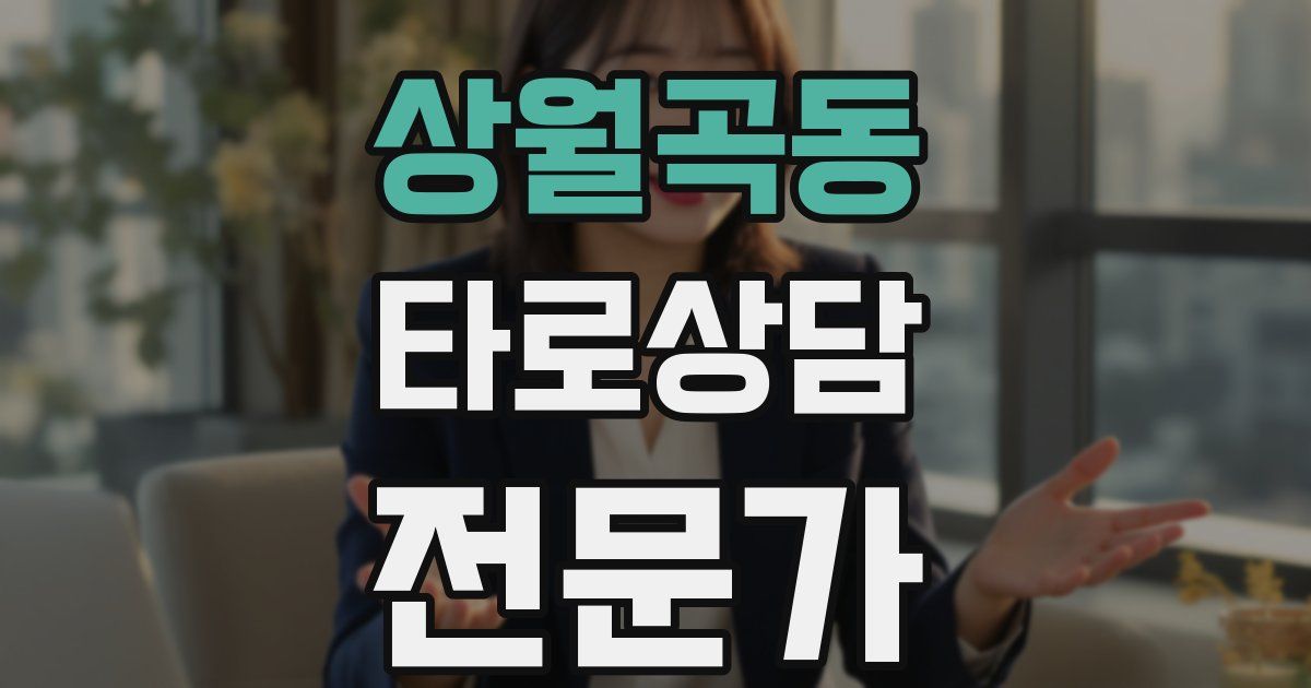 상월곡동 타로상담전문가 자격증