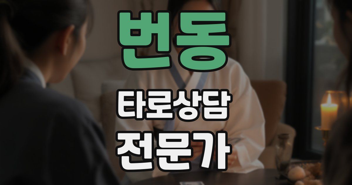 번동 타로상담전문가 자격증