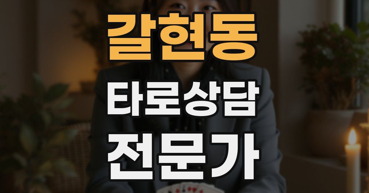 갈현동 타로상담전문가 자격증